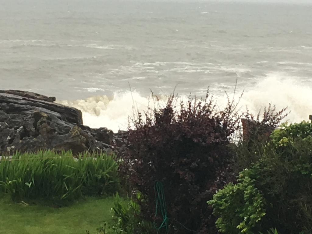 Belstane House Bed & Breakfast Cellardyke Eksteriør bilde